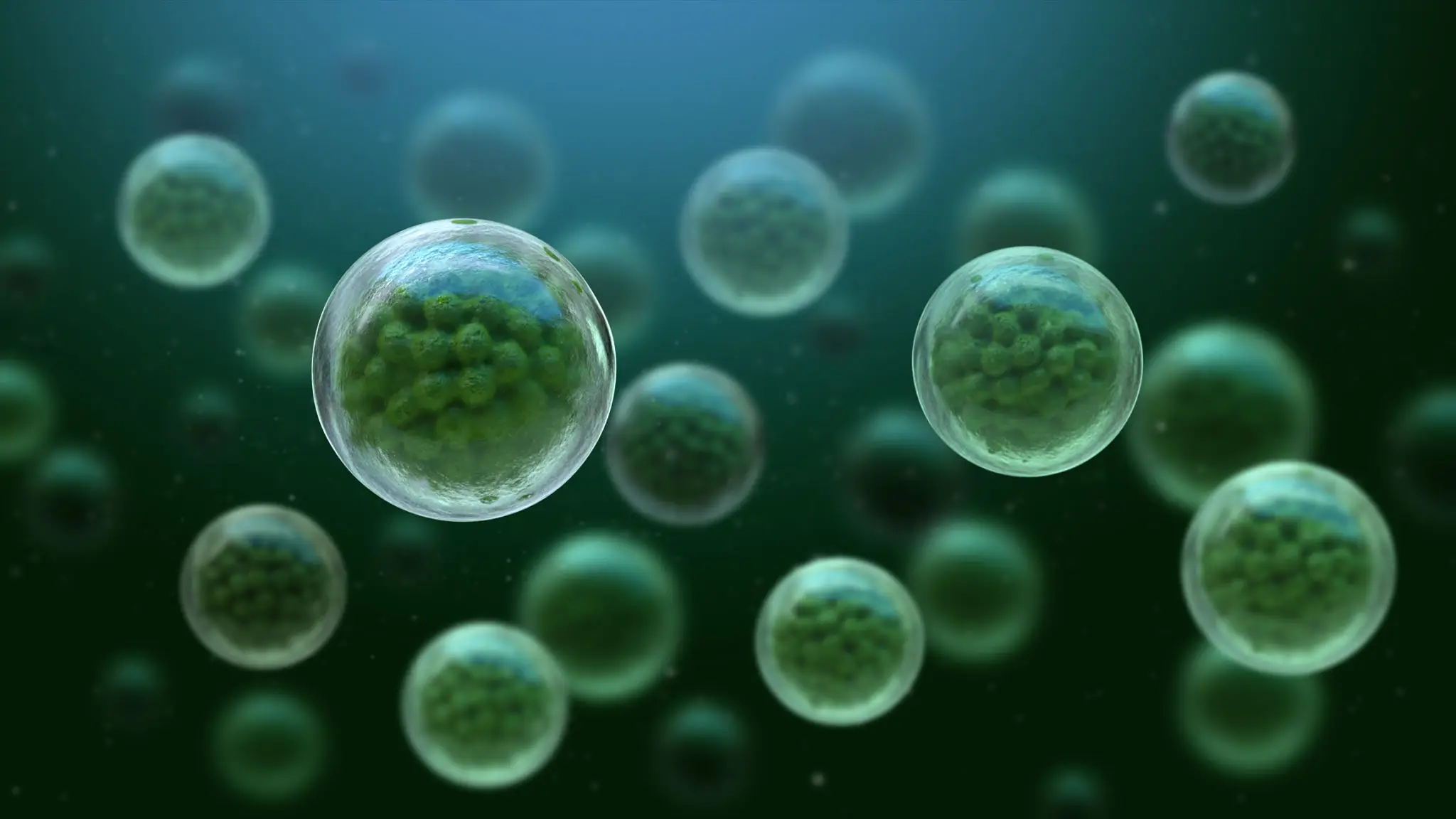 Green cells floating in a dark background.