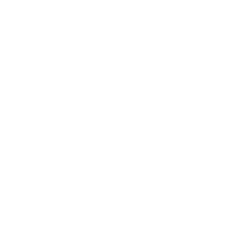 Star and chevrons military rank insignia.